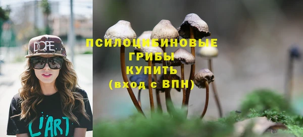 дживик Волоколамск